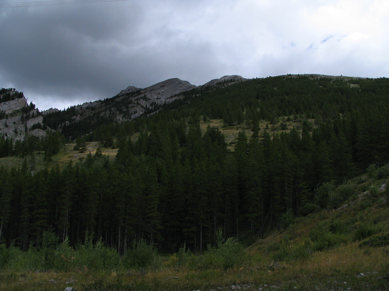 Despite appearances, the bushwhacking is minimal on this slope.