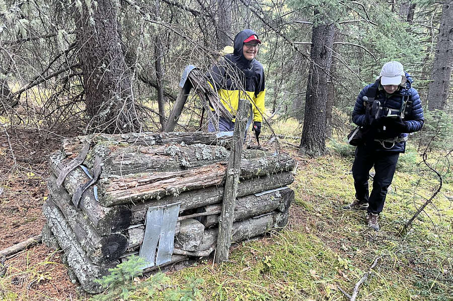 Not a log cabin for midgets!