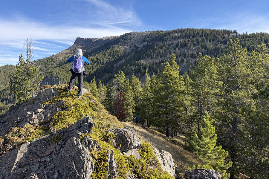 Where do you think the summit is?
