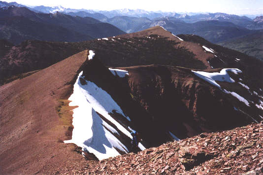 Find Kelly and Dan in this photo.