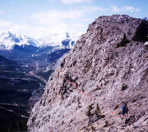 Spot the scramblers!