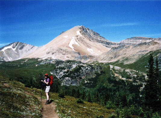 Objective for the day.