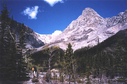 Pretty boring up to this point!