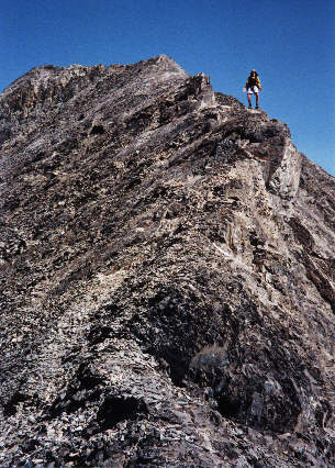 Scrambler's delight.