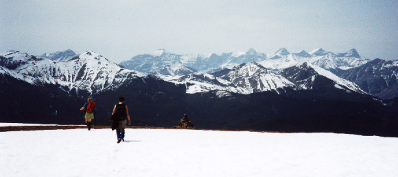 Cox Hill Summit