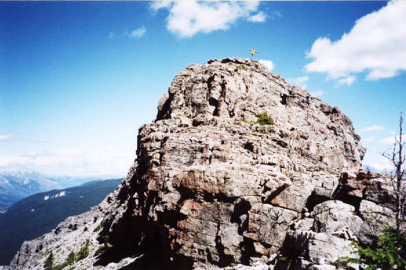 Staying on top of things.