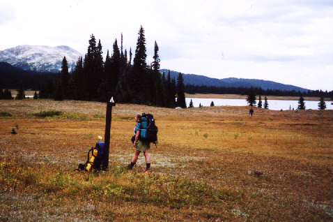 Where's the campsite?