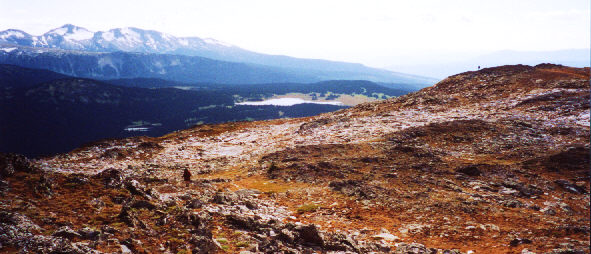 A great place to roam freely.