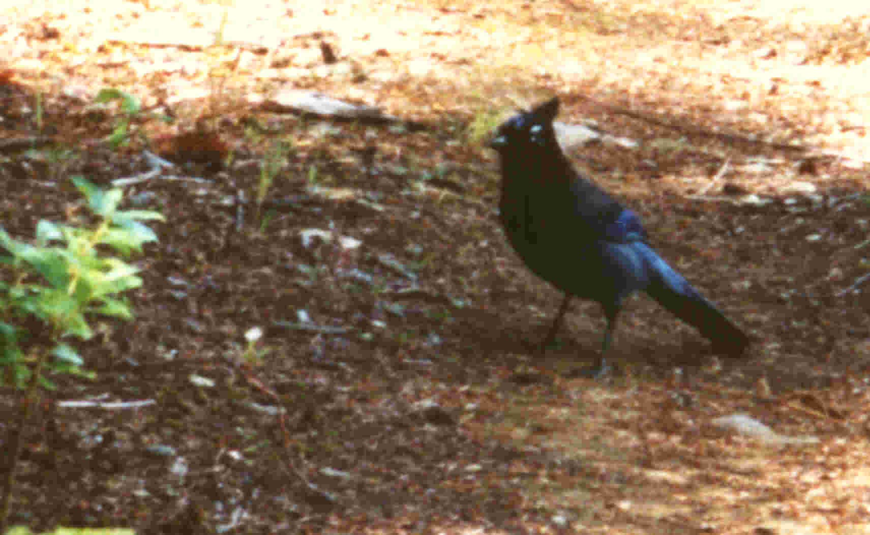 Thank you.  Come again!