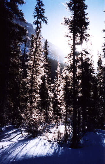 Winter is not so bad after all.