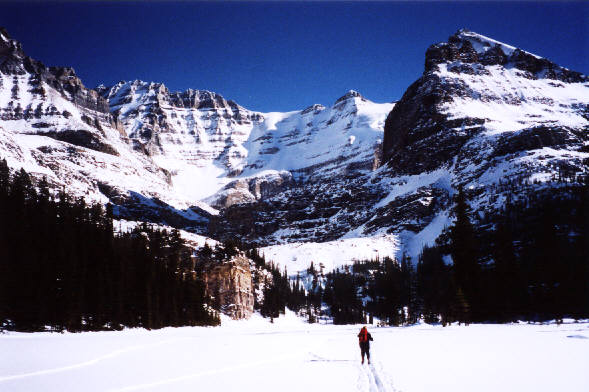 A cure for troubled souls.