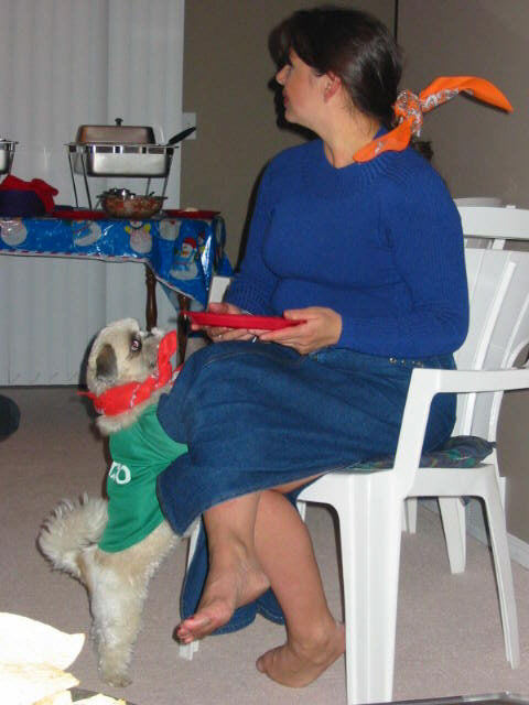 Oh no...not a dog with clothes on!