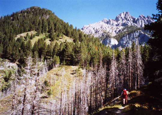 The relentless grind begins.