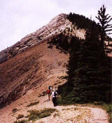 The trail begins to steepen.