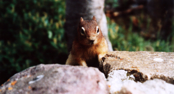 Got anything to eat?