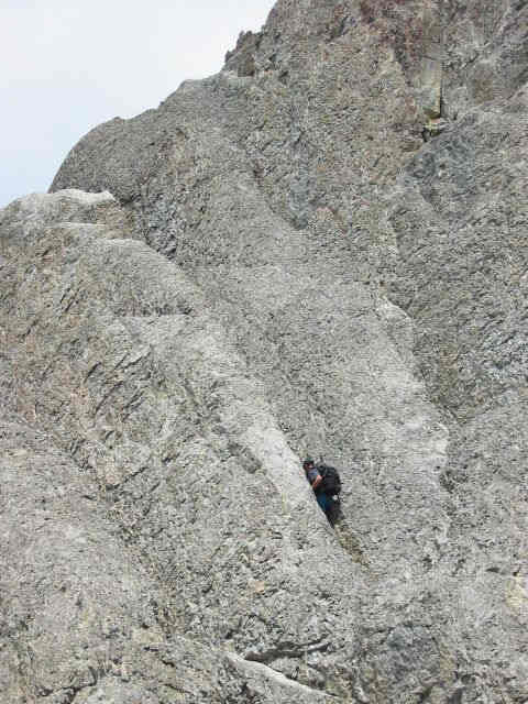 South-Facing Crack