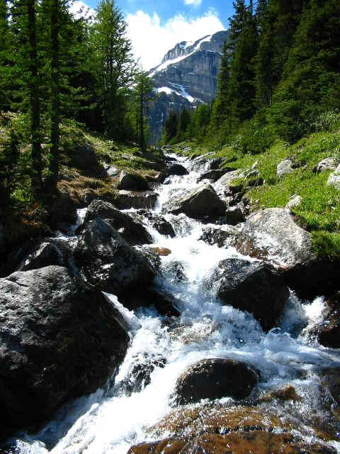Refreshing!