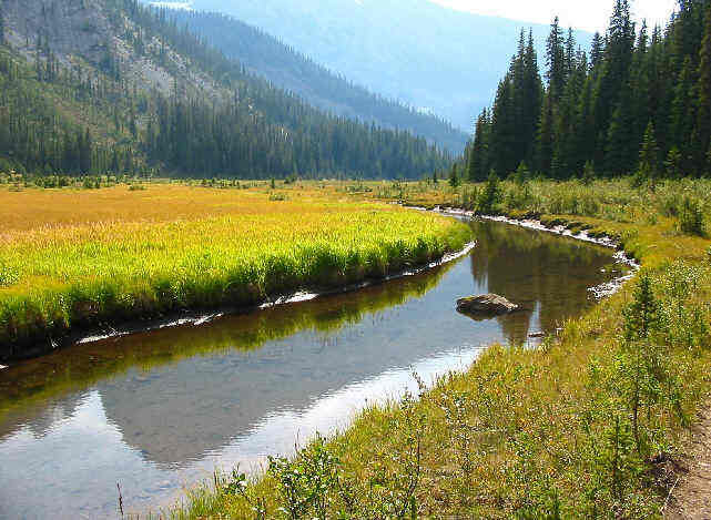 Commonwealth Creek