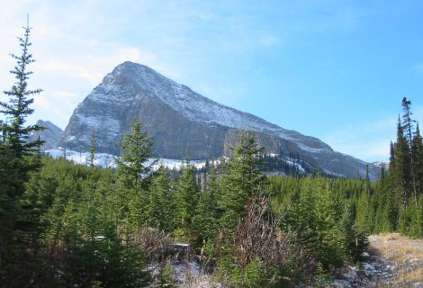 Mount Ward