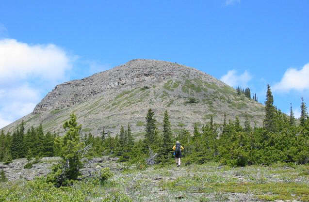 Mount Ware