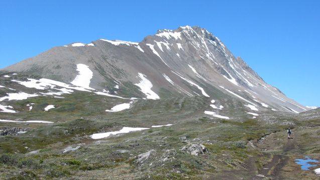 Mount Wilcox