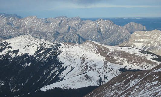 Can't get enough of pigeons and yams!