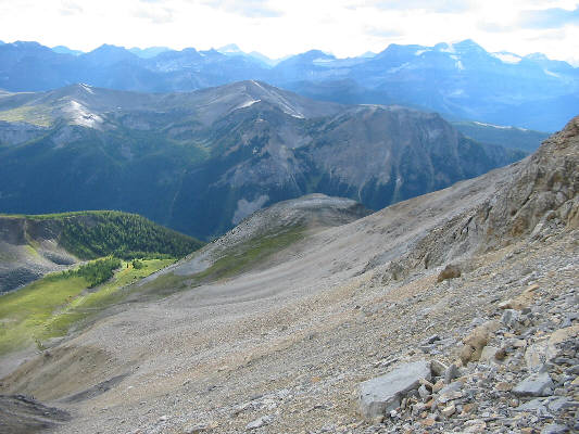 That bit of green on the left sure looks inviting!