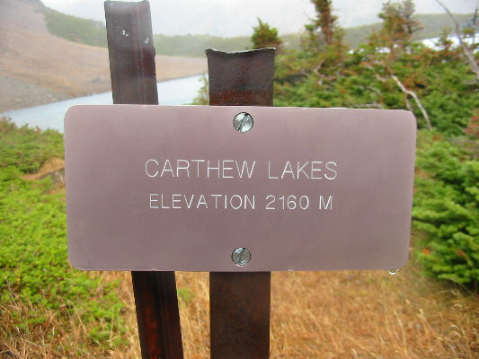 Sign, sign, everywhere a sign!