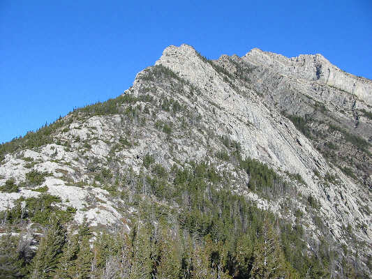 Doesn't look so bad...so far!