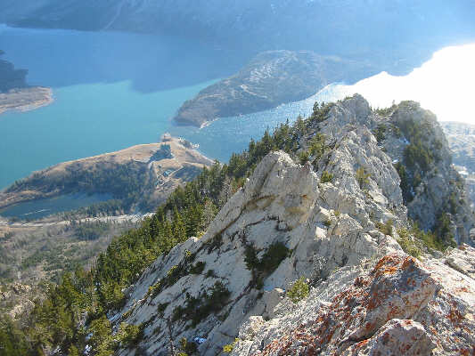 Lotsa good scrambling!