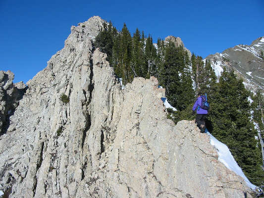 It's like walking a tightrope!