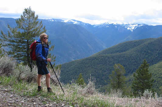 Not much to see so far!