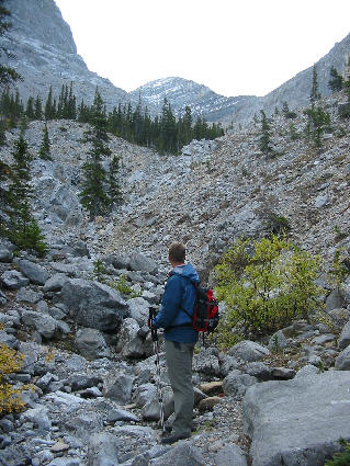 Oh boy.  We've got a lot of work ahead of us...