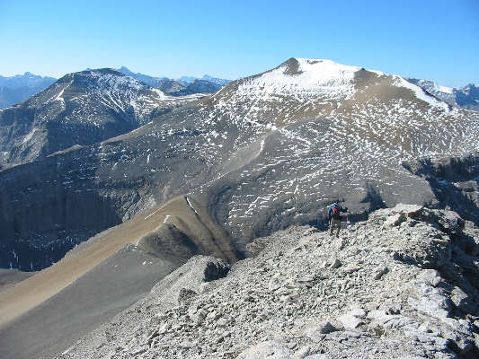 Anybody got an Advil?