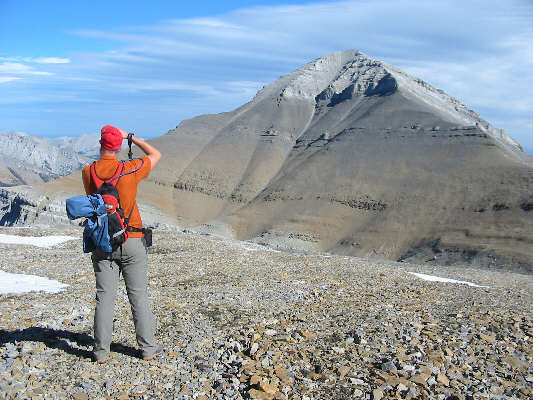 Look at how little Vern is carrying!