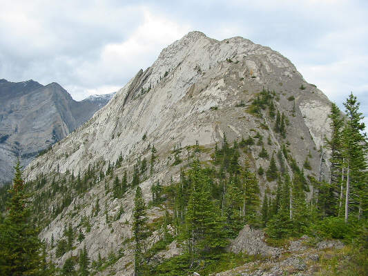 A welcome relief from all the bushwhacking!