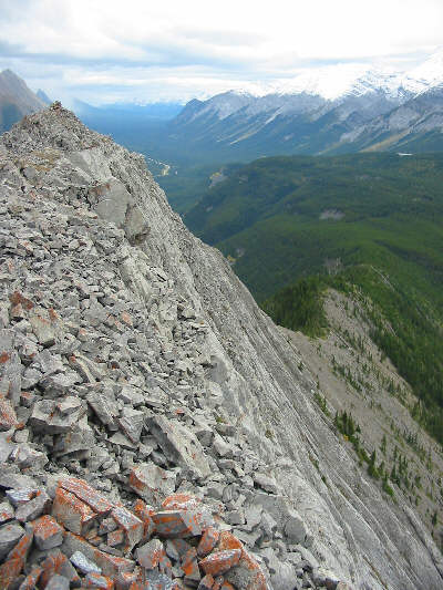 All that green down there looks inviting...