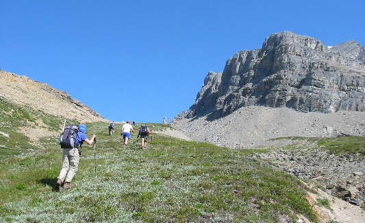 Where did all these people come from?!