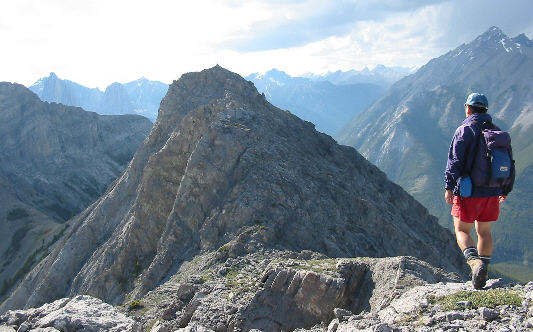 Delightful scrambling ahead!