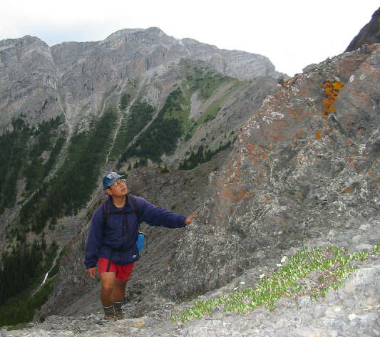 Those plants almost look radioactive!