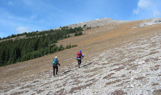 This is a good trip to take your loved ones!