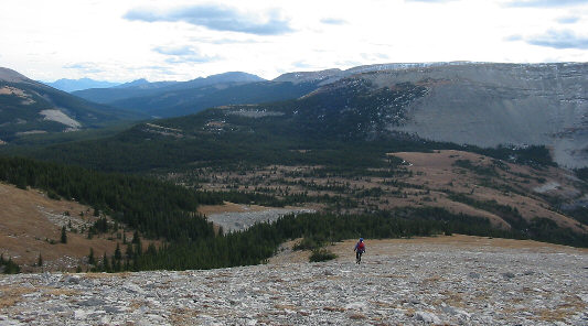 Try not to veer too far to the right!