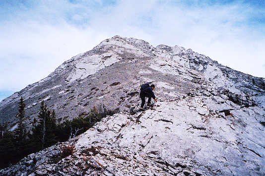 Easy pickings so far...