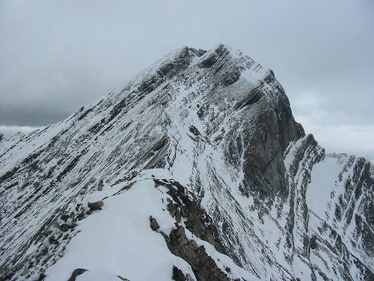 Doesn't look very promising...