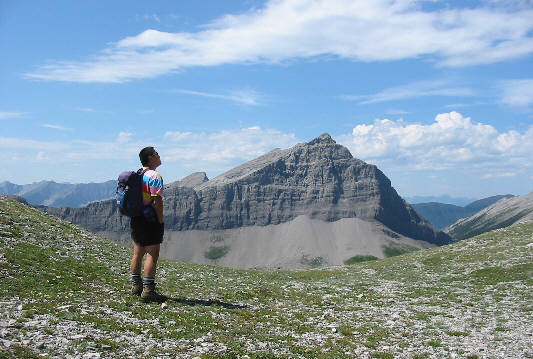 It's tempting to just lie down and sleep here!