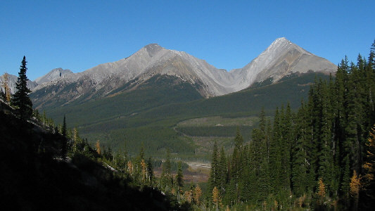 Gee, I should have been scrambling today instead of eating Dim Sum!