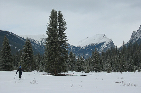 Finally, some views!