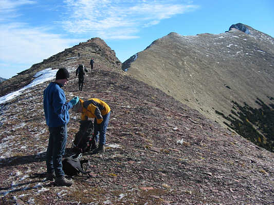 I wonder what Frank is eating...
