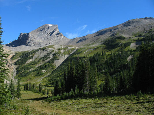 I didn't find any bras lying around this time!