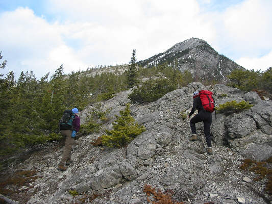 Yay!  No bushwhacking today!